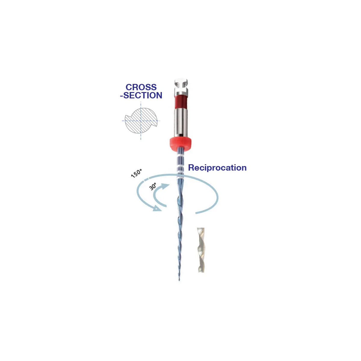Endodontische Feile E05 One File für Wurzelkanalaufbereitung mit Reciprocation-Technik, NiTi-Feile, hohe Flexibilität und Effizienz